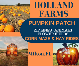 Holland Farms
